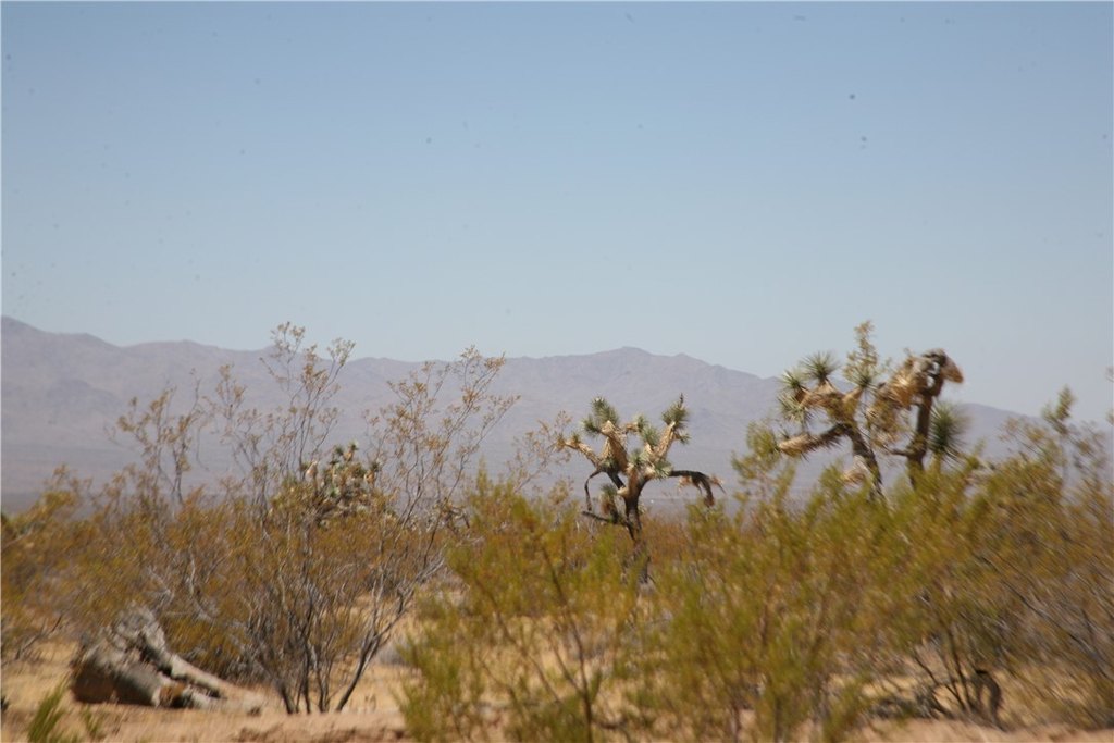 Picture 14