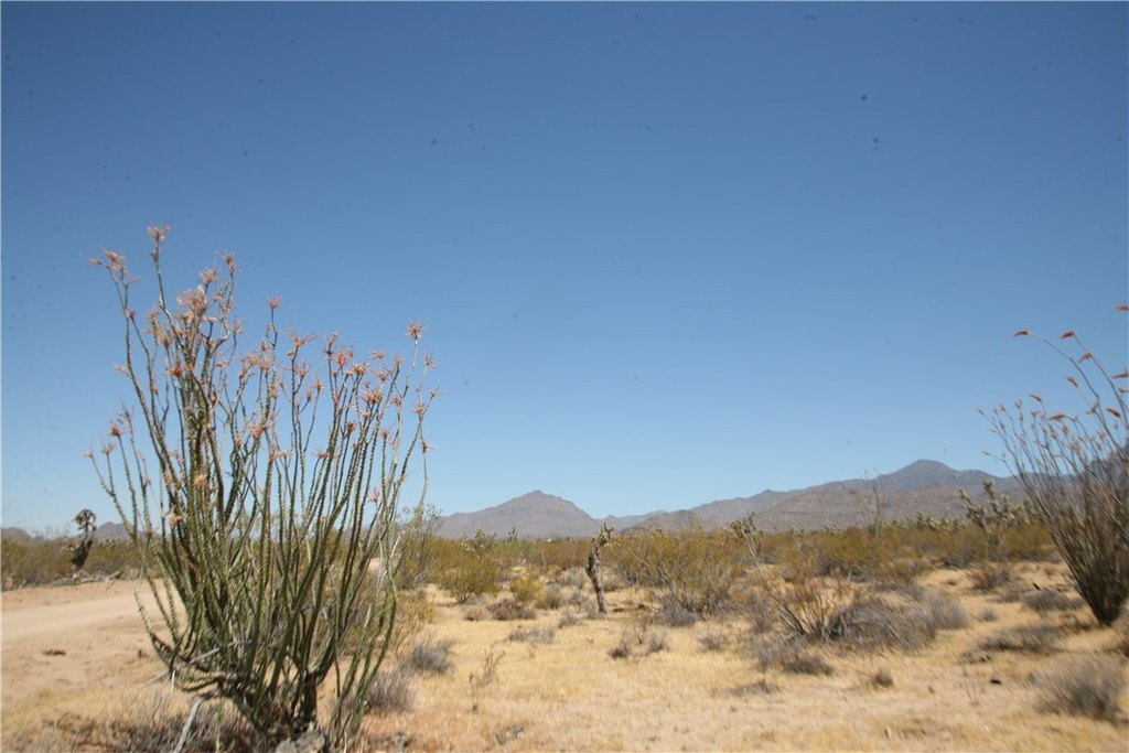 Picture 21