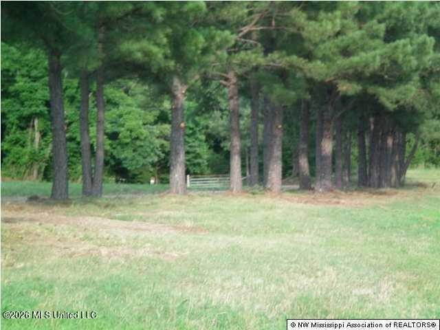 Picture 13