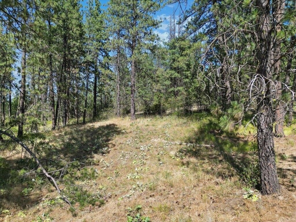 Picture 9