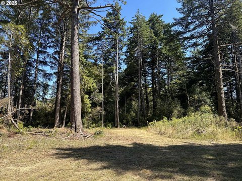 Port Orford Acreage For Sale