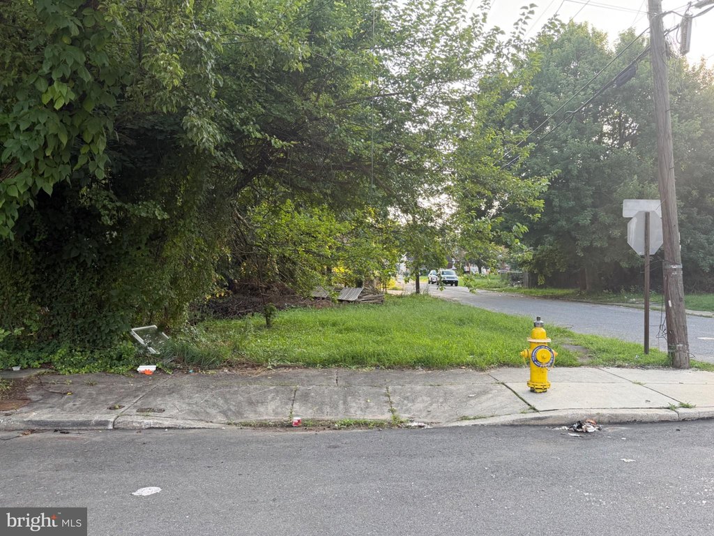 Picture 6