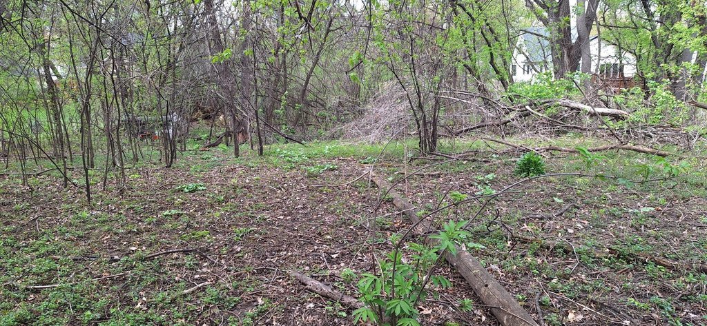 Picture 3