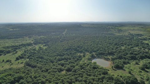Hunting Land with Two Earthen Ponds