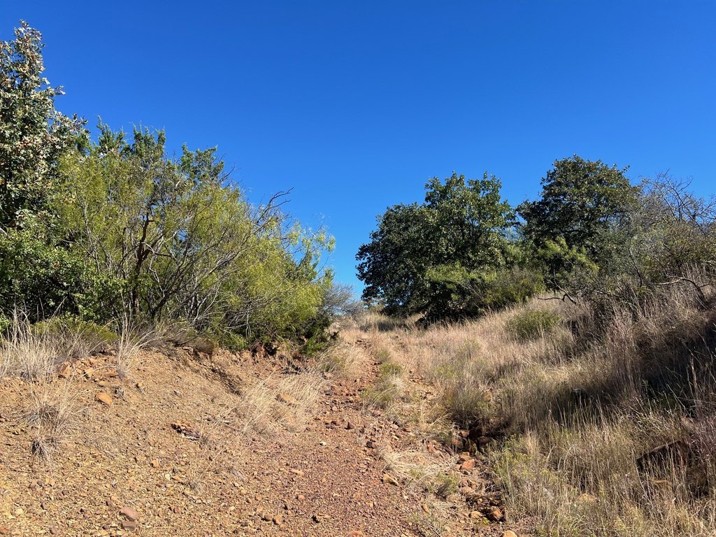Picture 22