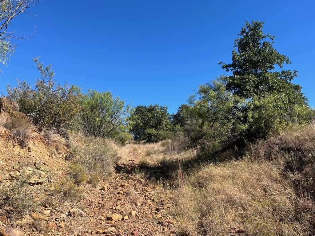 Picture 21