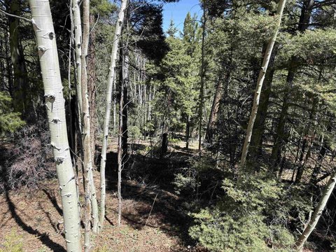 LAND - Angel Fire, NM