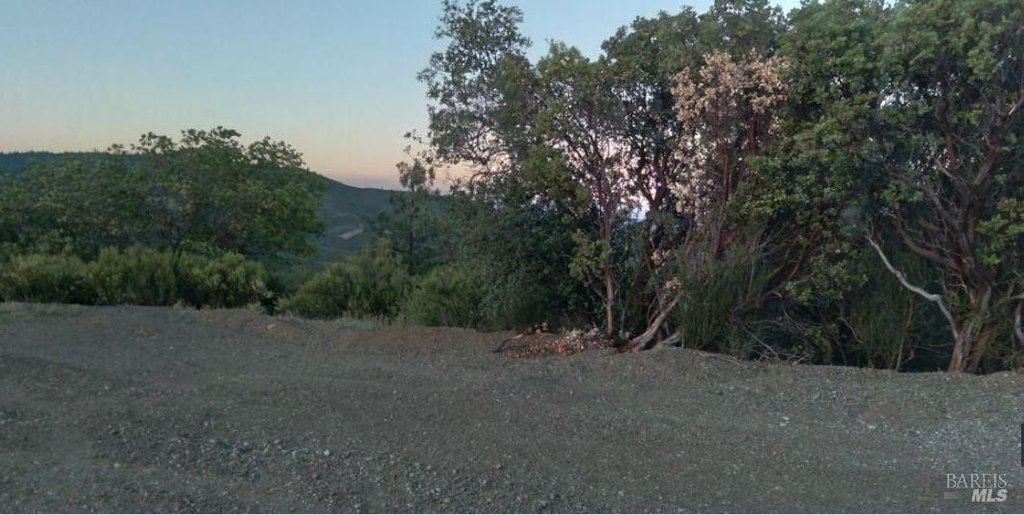 Picture 15