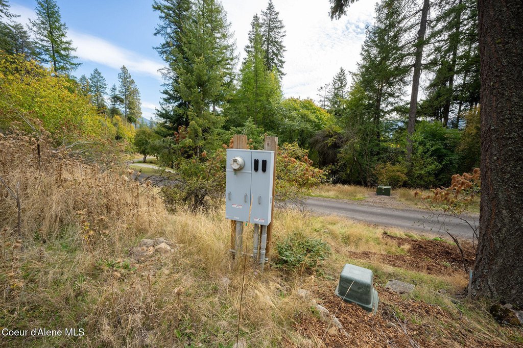 Picture 26