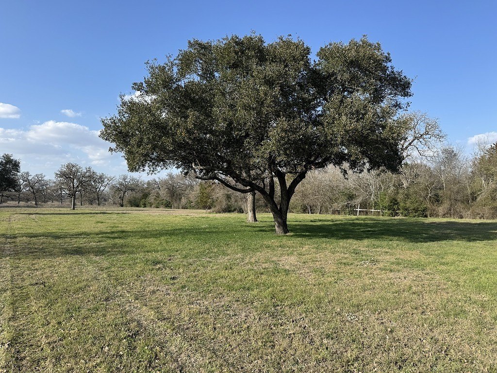 Unrestricted Land Near Burton, TX