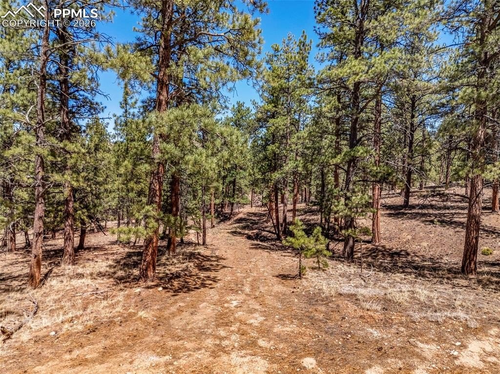 Westcliffe Land with Mountain Views