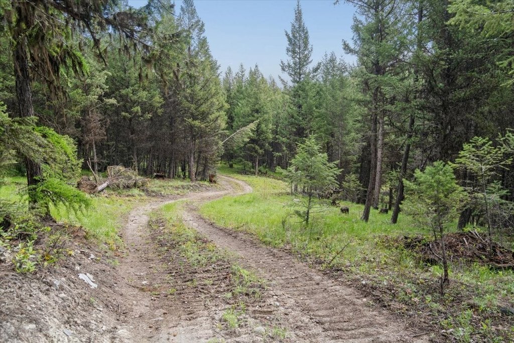 Picture 23