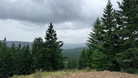 Wooded Hunting and Recreation Land