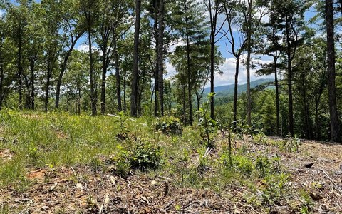 Mountain View Cul-de-Sac Homesite