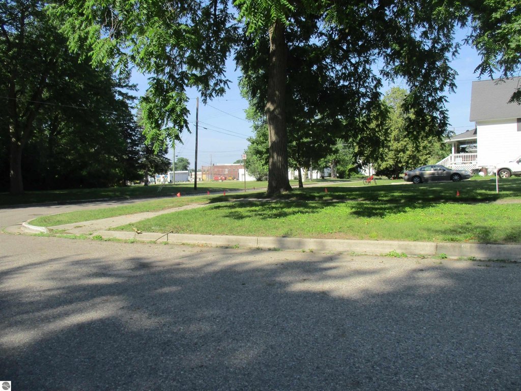 Picture 6