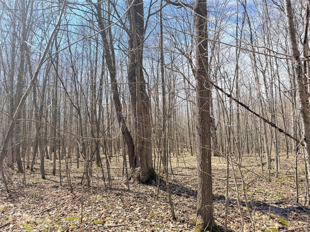 Picture 30