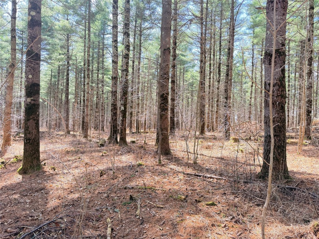 Picture 16