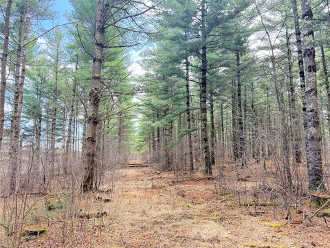 Land, Rice Lake, WI