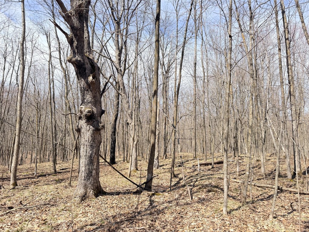 Picture 29