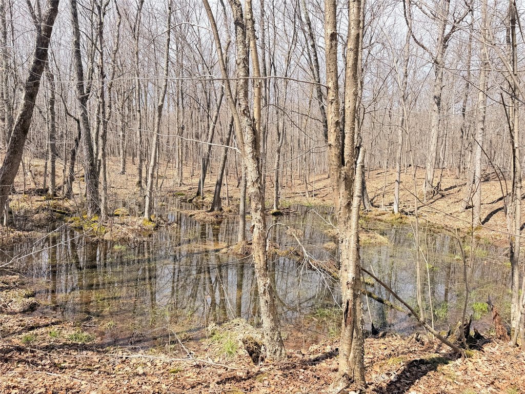 Picture 23