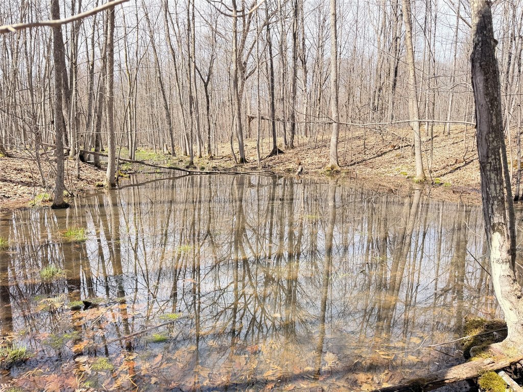 Picture 17