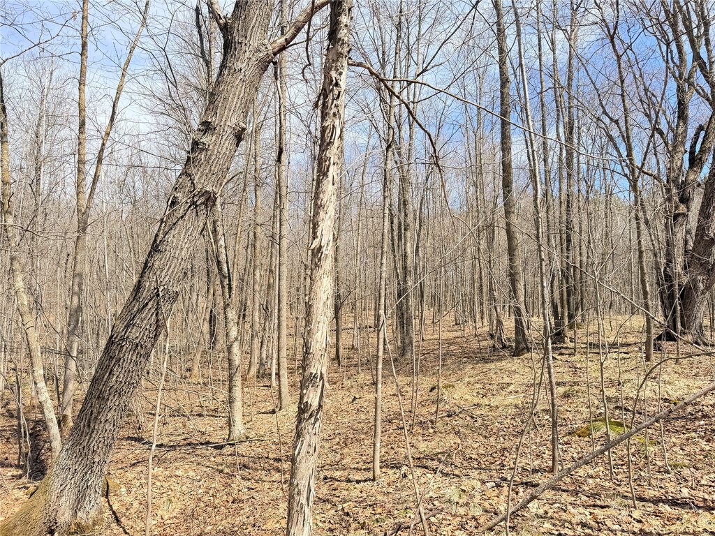 Picture 19