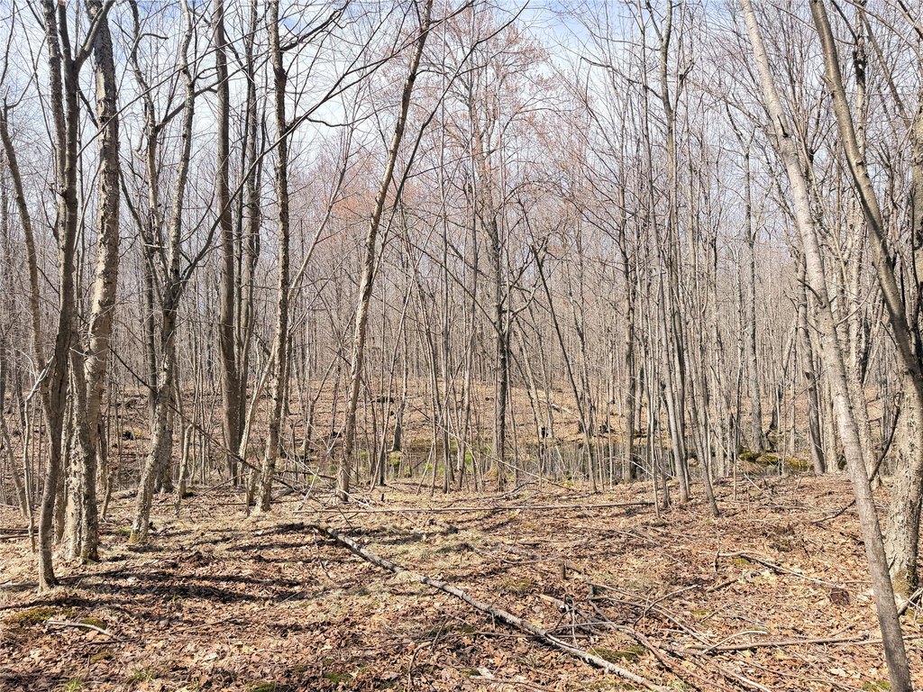 Picture 25