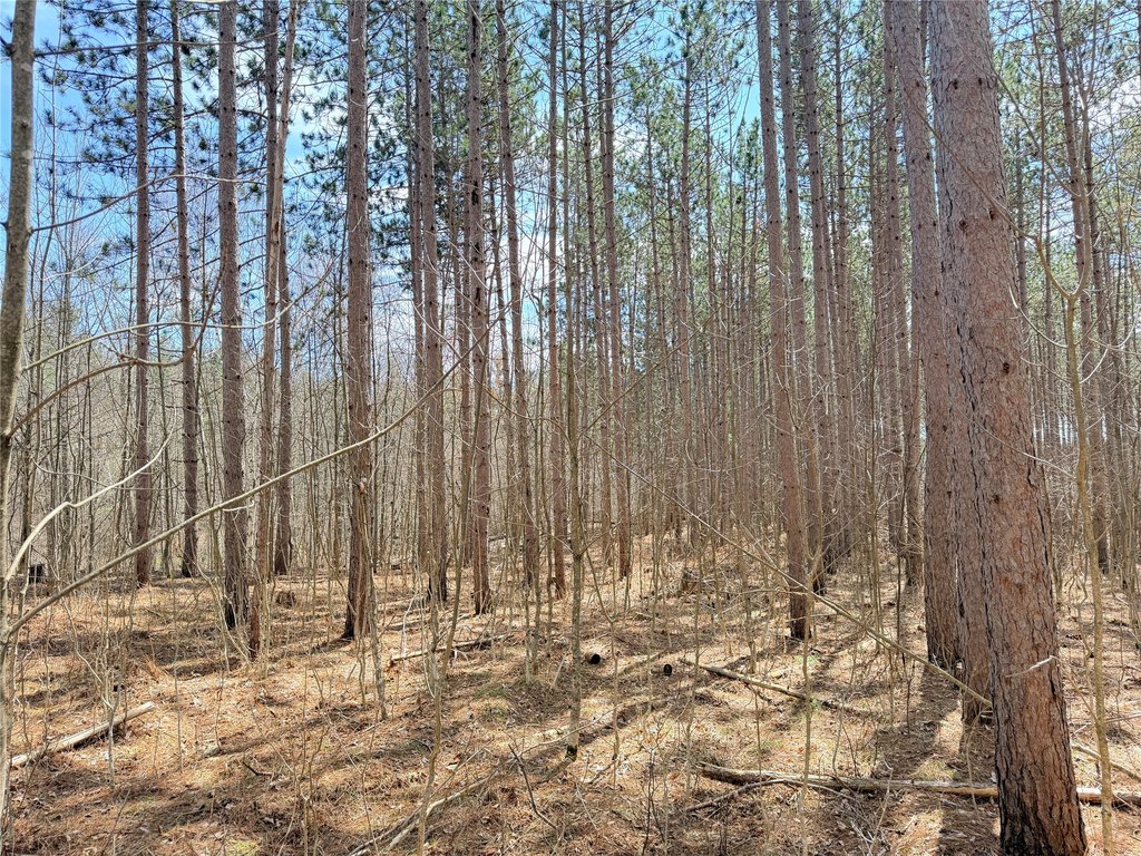 Picture 8