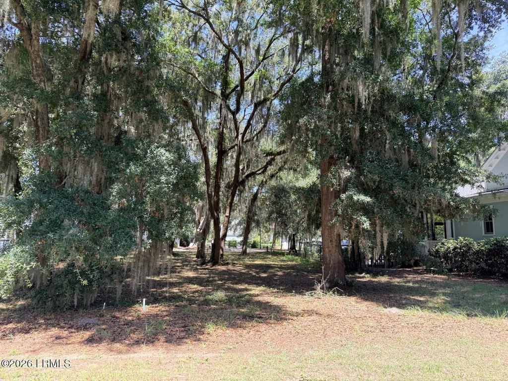 Picture 8