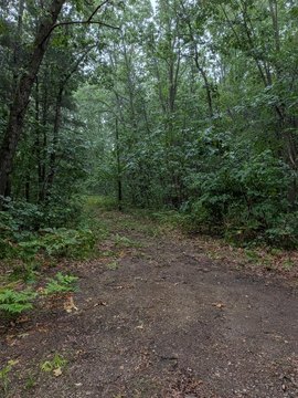 LAND - Rockford, MI