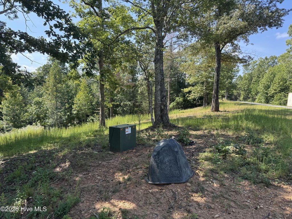 Picture 17