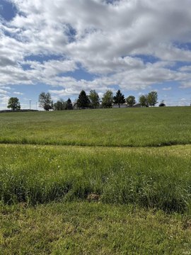 Residential Land Ready For Building