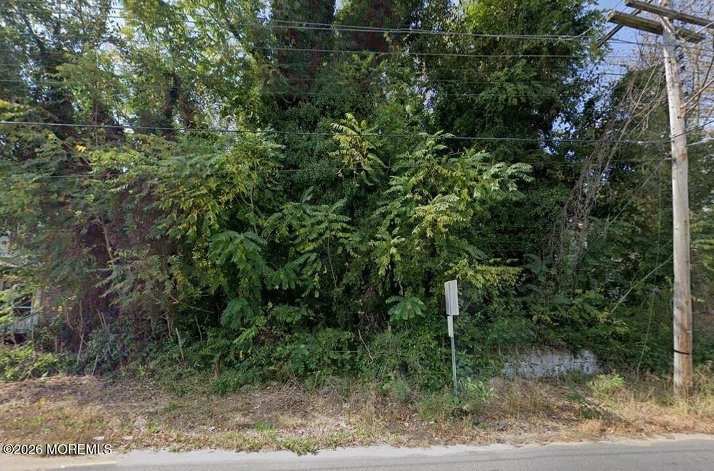 Picture 2