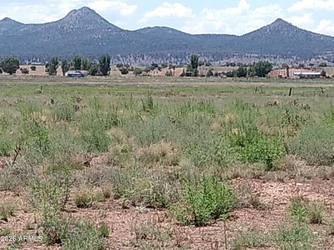 Land, Paulden, AZ