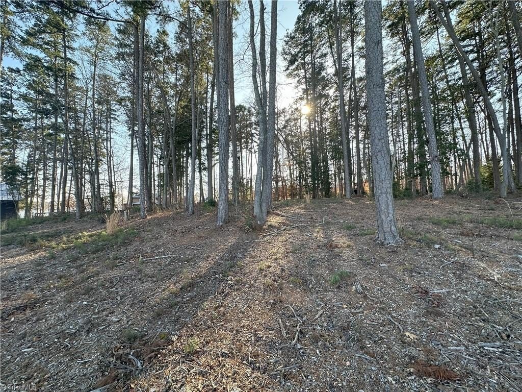 Picture 7