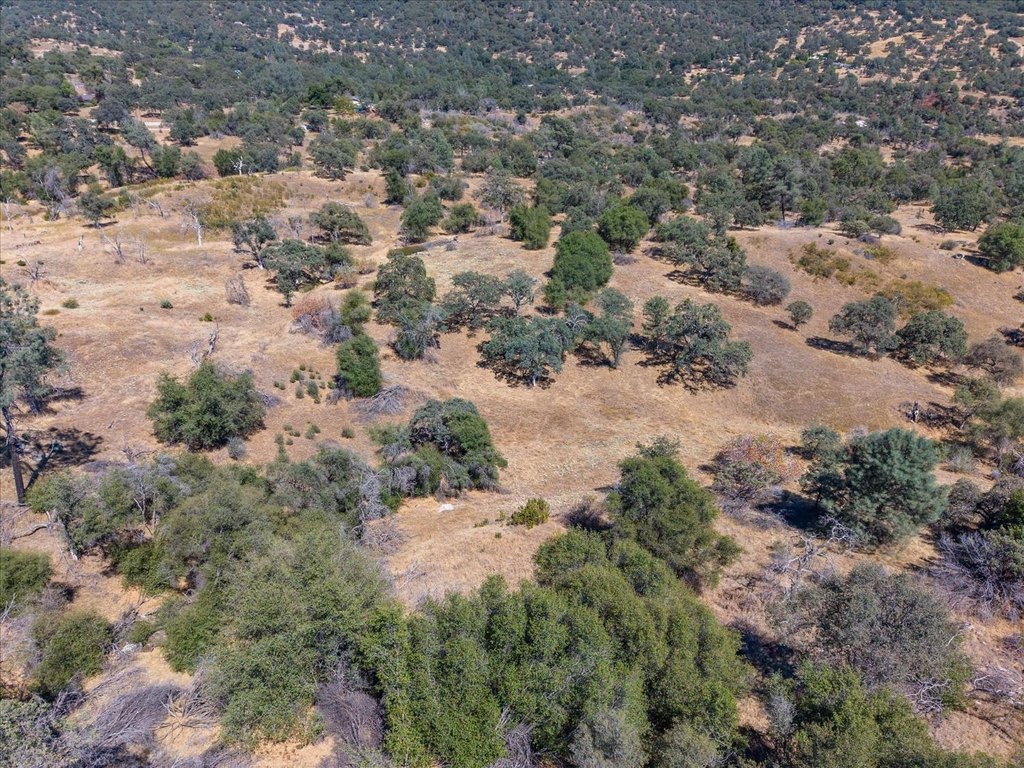 Picture 30