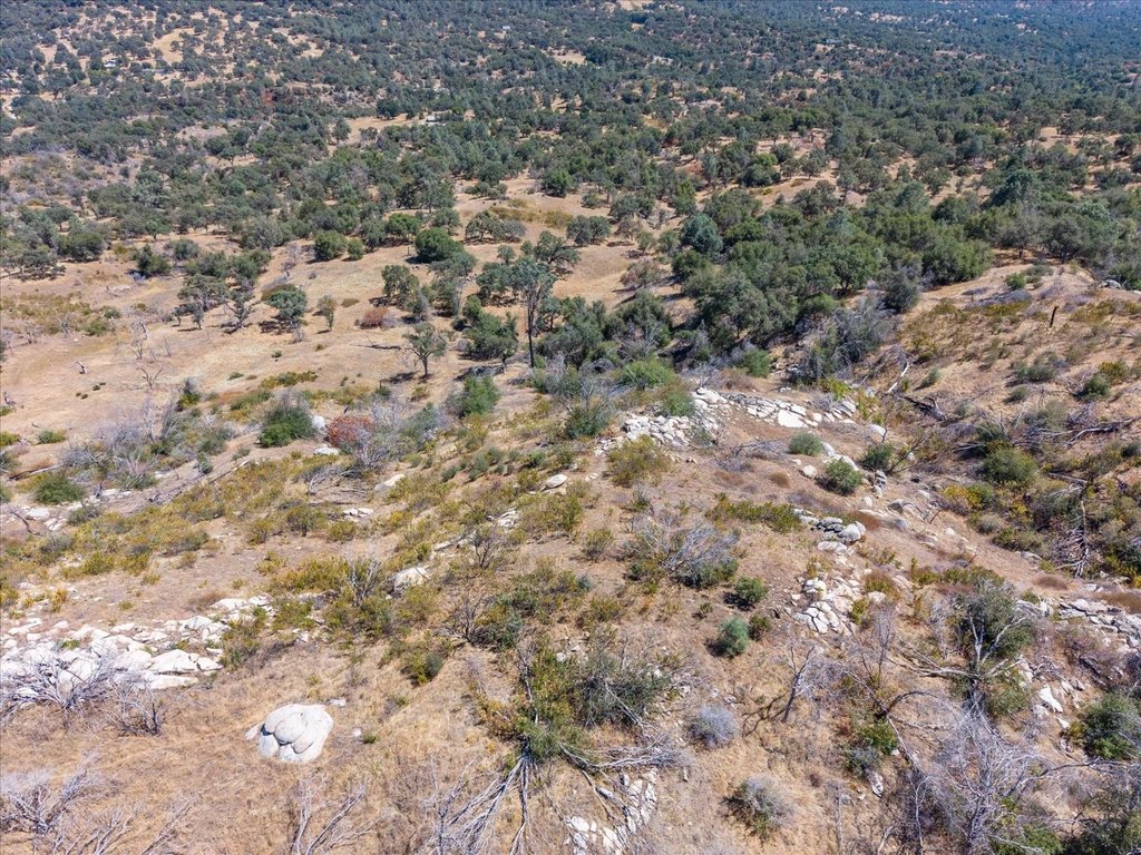 Picture 24