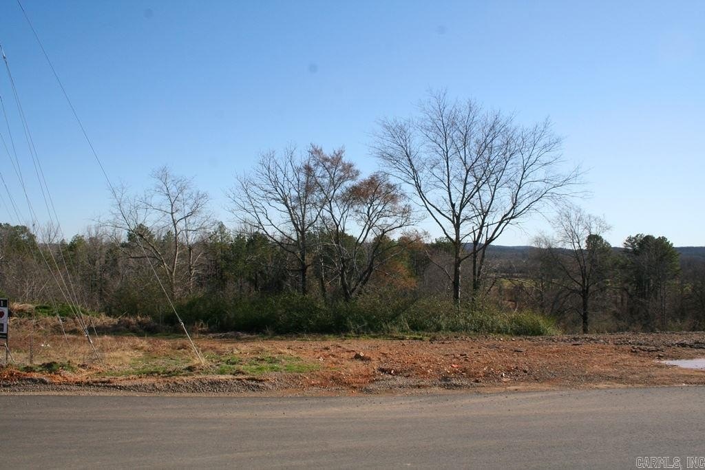 Picture 8