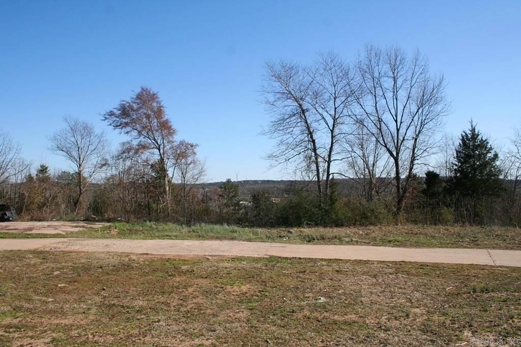 Picture 21