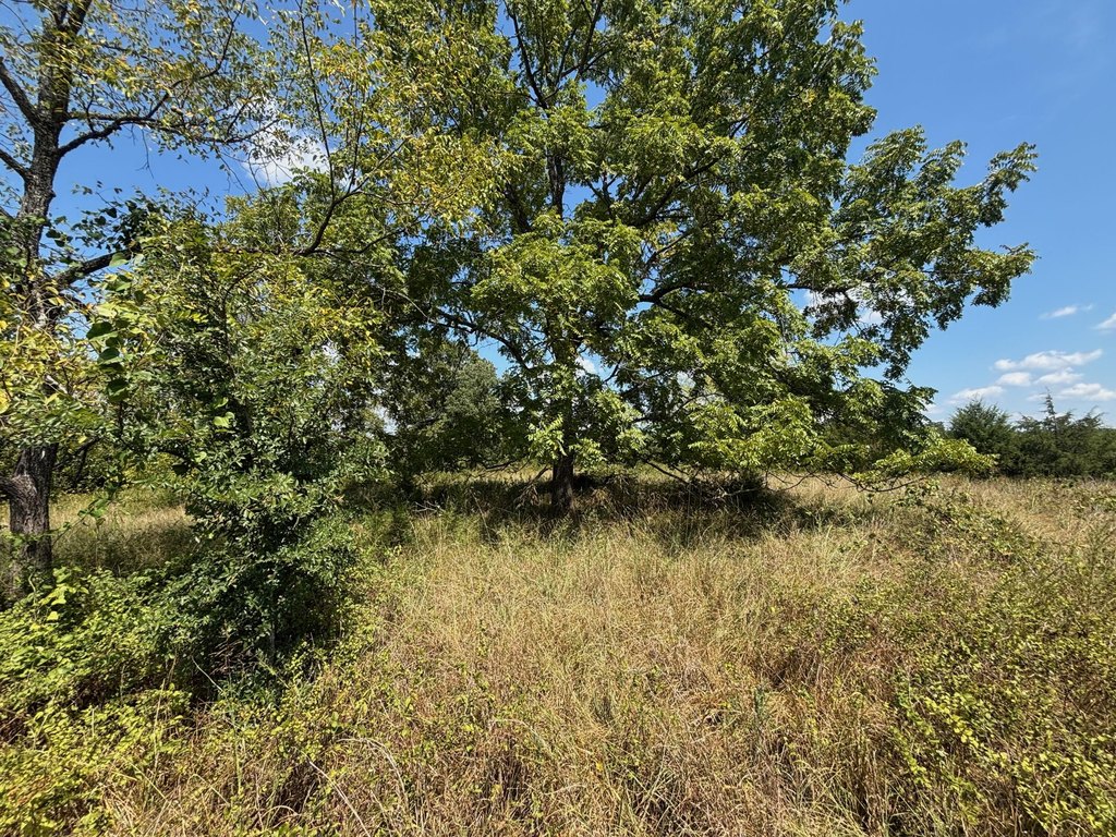 Picture 20