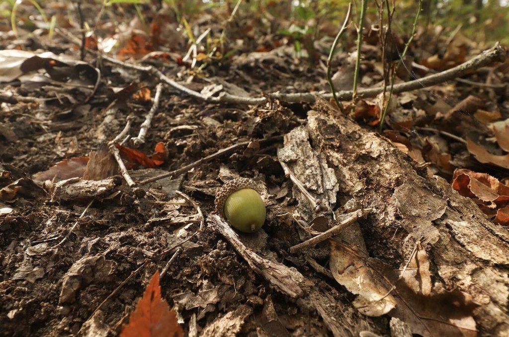 Picture 16