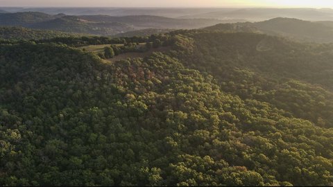 Wooded Hunting Land