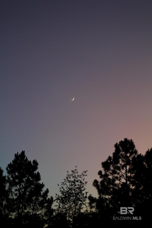 Picture 31