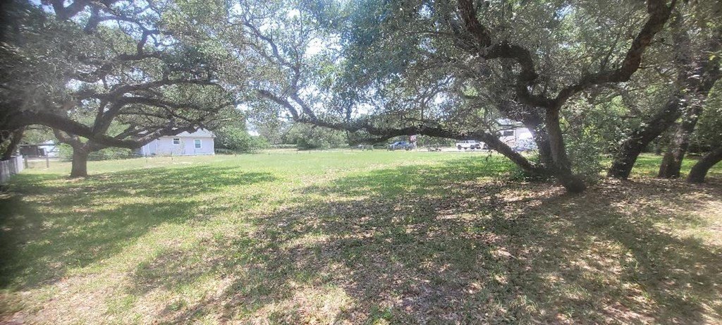 Picture 3
