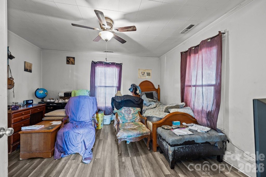 Picture 23