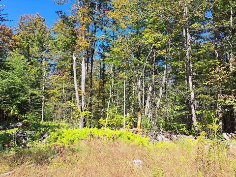 Wooded Hunting Land