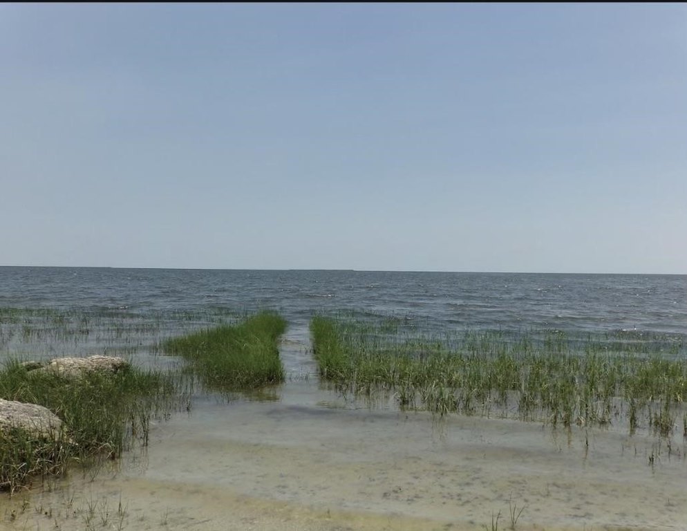 Picture 5