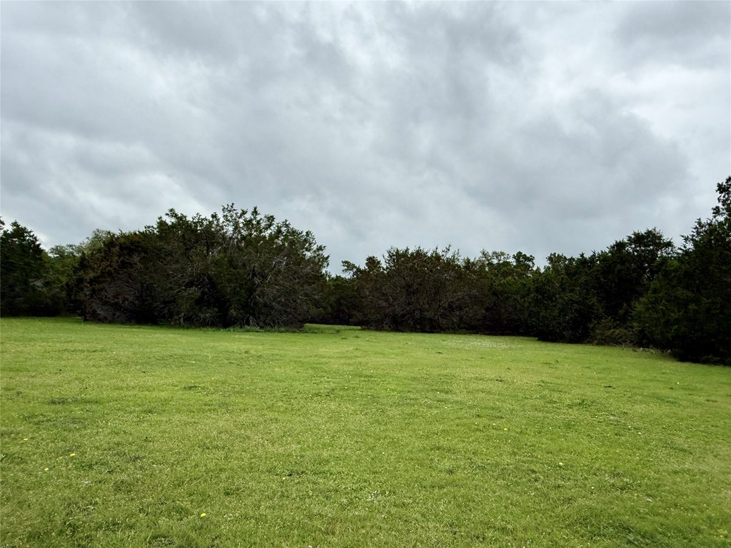 Picture 29
