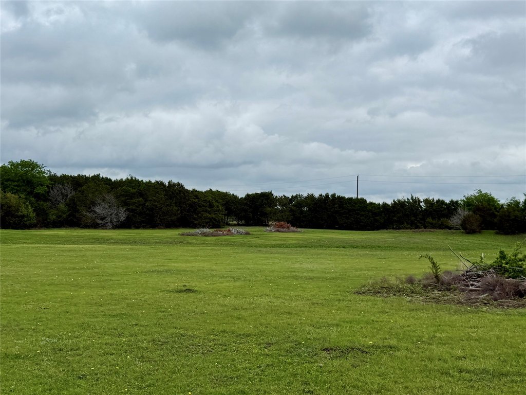 Picture 37
