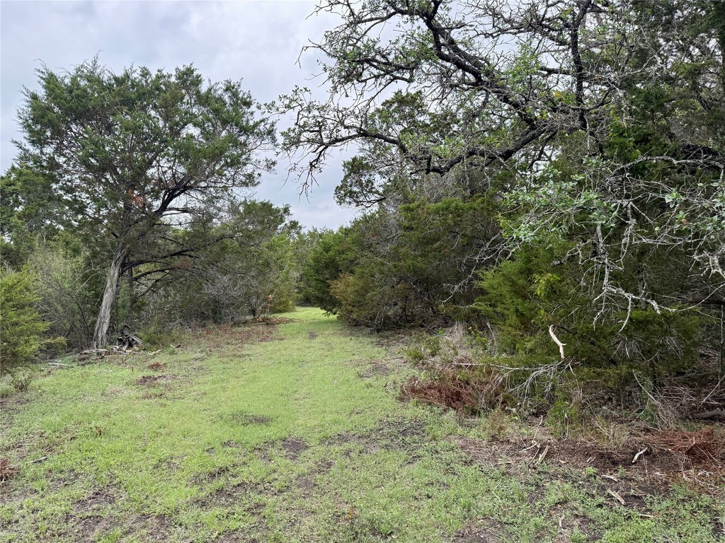 Picture 30